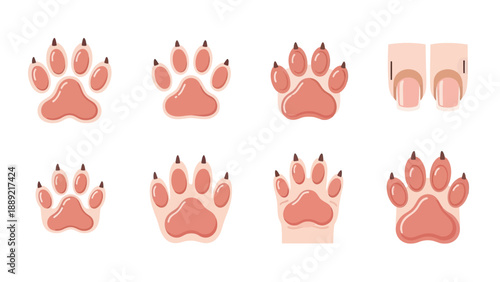 Collection of Animal Paw Prints and Human Fingernails Vector Art