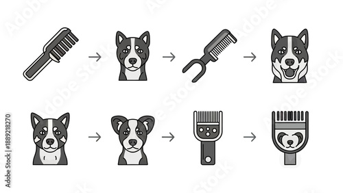 Dog Grooming Process Steps Vector Illustration