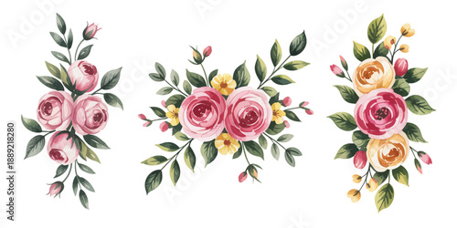Beautiful Watercolor Roses Bouquet Collection Illustration for Design