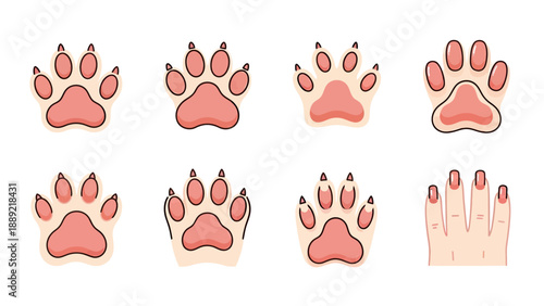 Cute Paw Prints and Human Nail Set