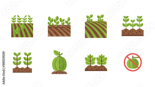 Growing Plants and Agriculture Icons Set