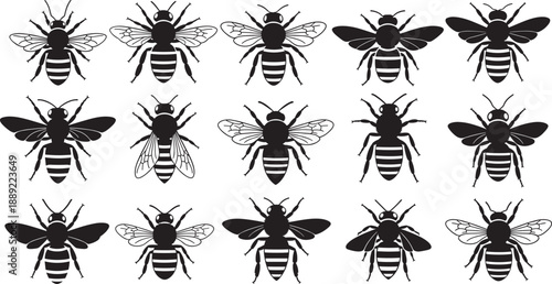 Silhouettes of fifteen stylized bees in varied wing and body designs, black‑and‑white illustration representing insect diversity, entomology study, and pattern recognition concept