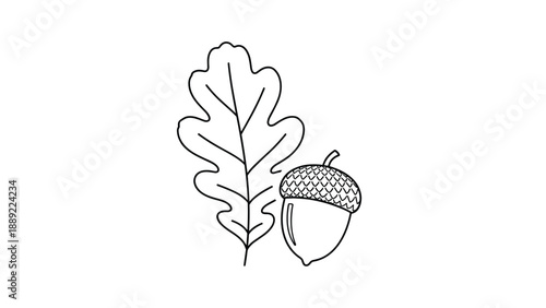 Single oak leaf and a small acorn with a textured cap are shown together in a clean black and white line art drawing for autumn themes.