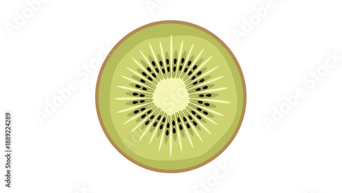 Vibrant cross-section of a kiwi fruit showing the bright green flesh and black seeds is presented in a clean colored vector illustration.