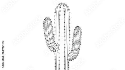 Large saguaro cactus with multiple arms and prickly spines depicted in a detailed black and white line art vector illustration.