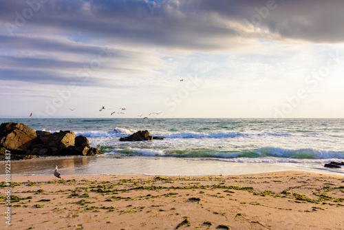 sea beach landscape on autumn morning. boulders on the sand. birds in the sky. dramatic weather. velvet season vacation in bulgaria