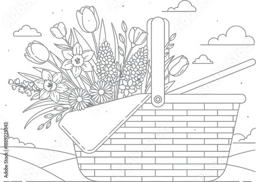 Adobe Illustrator Artwork