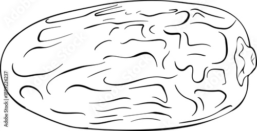 A minimalist line art illustration of a brain in a simple and elegant style