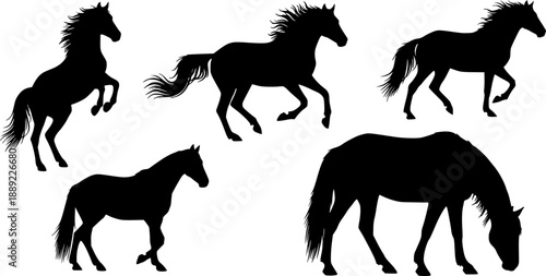 silhouettes of Horse 