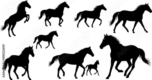 silhouettes of Horse 