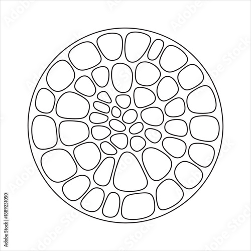 Polyhedral Perspectives Geodesic Lattices and Voronoi Meshes Shape