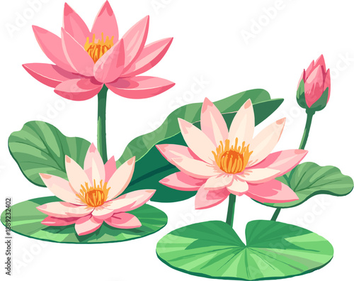 Pink water lilies (lotus flowers) growing on water with green floating leaves. Calm, natural spring-themed floral elements associated with peace, harmony, Mother’s Day, wellness and nature scenes