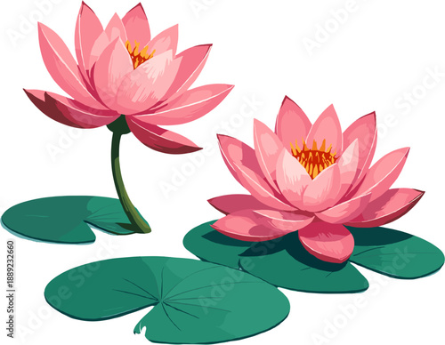 Pink water lilies (lotus flowers) growing on water with green floating leaves. Calm, natural spring-themed floral elements associated with peace, harmony, Mother’s Day, wellness and nature scenes