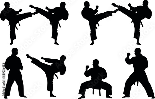 Martial arts karate fighters silhouettes set featuring various combat poses high kicks and defense stances for sports training design (18 words)