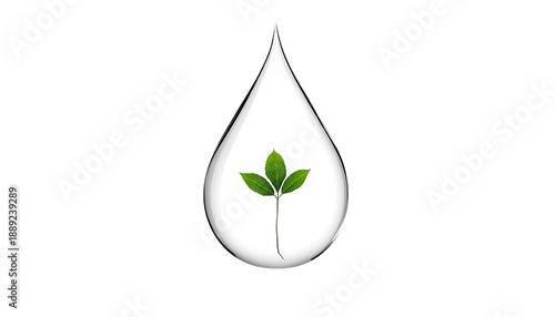 A water droplet with a green plant inside on transparent background : Elements for World Water Day promotion