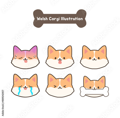 웰시코기 여러 얼굴표정