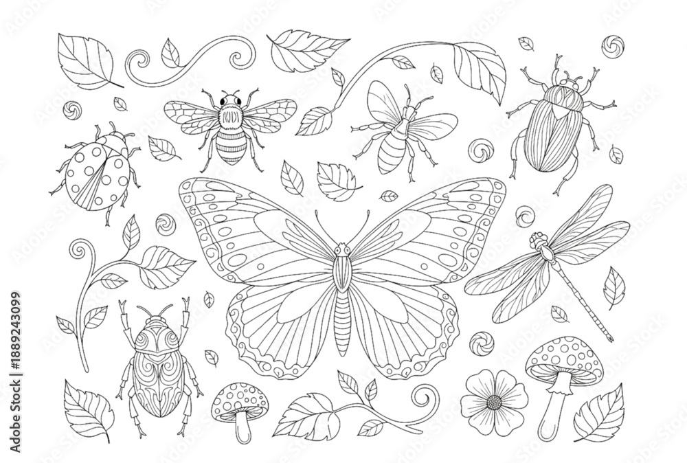 Obraz premium Insect and leaf vector illustration set