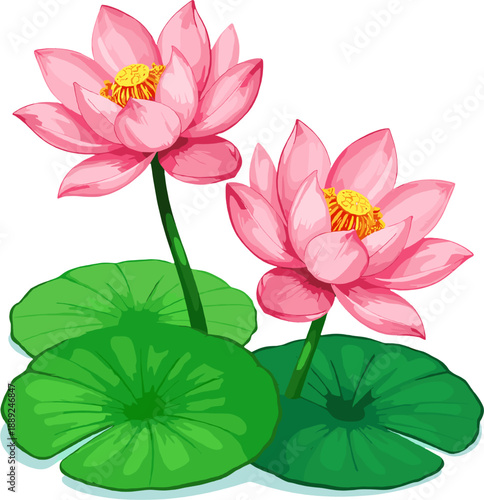 Pink water lilies (lotus flowers) growing on water with green floating leaves. Calm, natural spring-themed floral elements associated with peace, harmony, Mother’s Day, wellness and nature scenes