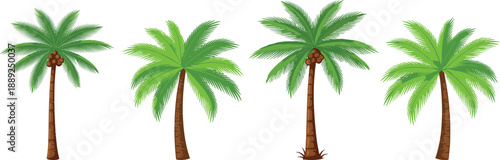 Cartoon palm trees with coconuts and roots in tropical style, isolated on white background for nature, summer, and beach design