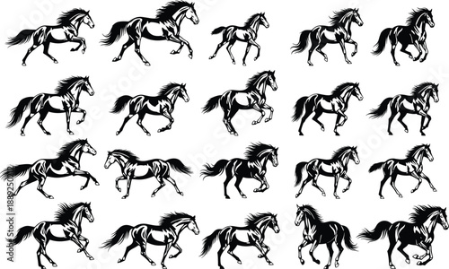 Sequential Horse Motion Study in Black and White Illustrations Capturing Galloping Gait for Animation, Anatomy, and Equine Locomotion Reference