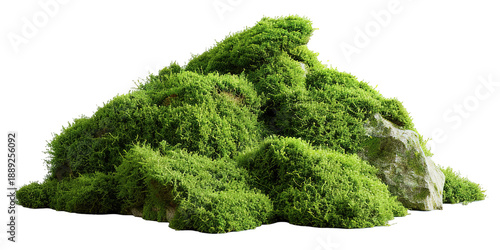 Wallpaper Mural A mound of green moss is placed on a transparent background. The moss has subtle shadows, making it suitable for use in different design projects. The texture is natural and vivid Torontodigital.ca