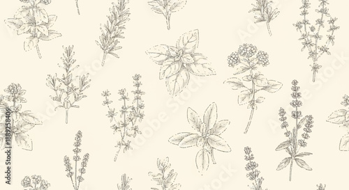 Vintage Hand Drawn Herbs and Spices Seamless Pattern on Beige Background