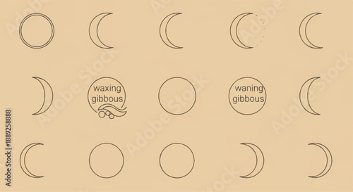 Minimalist Moon Phases Vector Illustration on Beige Background