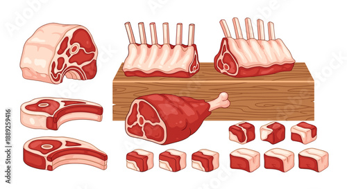A collection of various raw meat cuts, including steaks, lamb chops, and a ham hock, presented in a stylized, illustrative flat design with a white background.