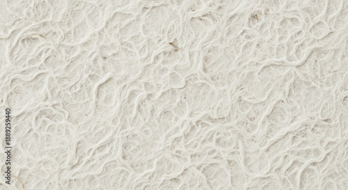 Abstract White Textured Paper Background with Organic Fibers