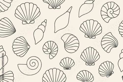 Different kinds of shells arranged in a pattern on a light background