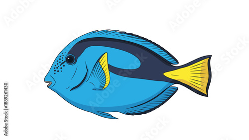Vibrant blue tang fish with a striking yellow tail and black markings swims gracefully in a detailed illustration of sea life.