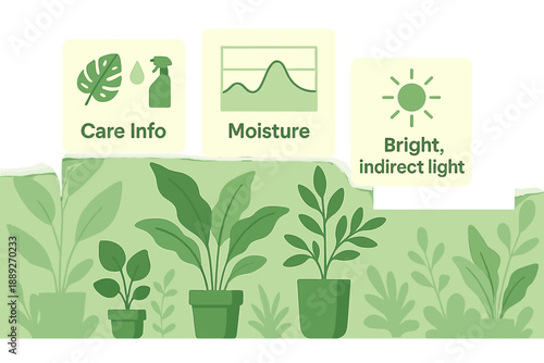 Plant care guide detailing moisture needs and light requirements for healthy indoor plants