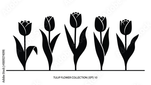 A minimalist arrangement of black tulip silhouettes on a white background stylized design
