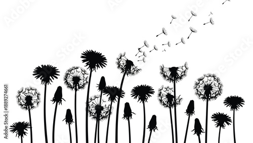 A striking black and white illustration depicting a field of dandelions releasing seeds