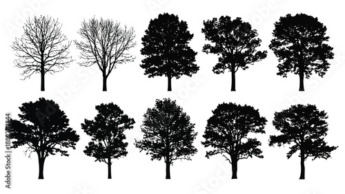 Silhouettes of various deciduous trees against a plain white background are displayed