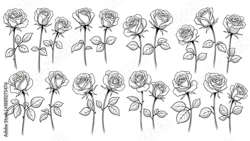 A collection of delicate monochrome rose illustrations arranged in a grid pattern