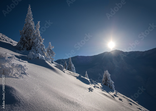 Sunny winter landscape in the mountains