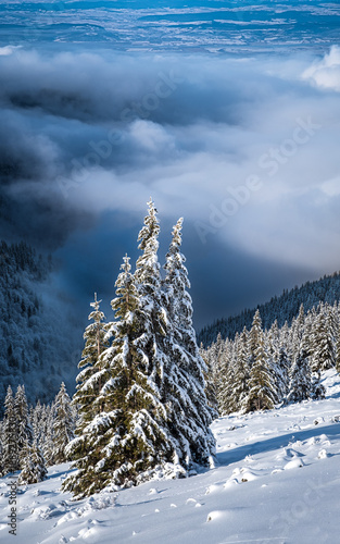 Sunny winter landscape in the mountains