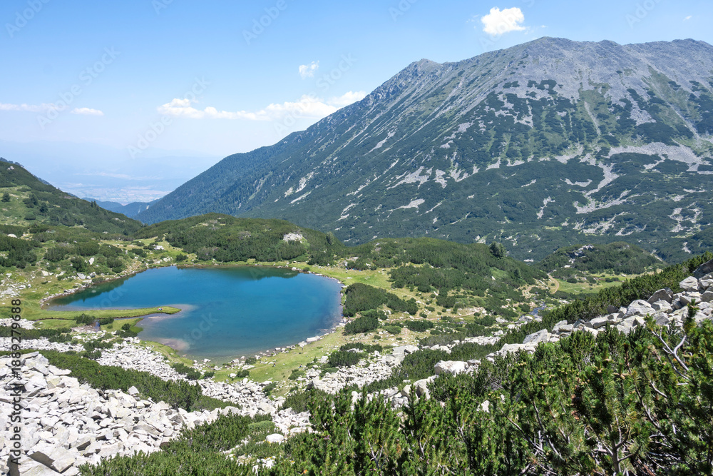 Obraz premium Pirin Mountain near Banderitsa Area, Bulgaria