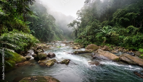 Misty River In Lush Jungle