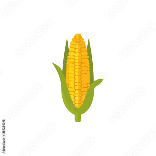 A single ear of corn with bright yellow kernels and green husks on a clean white background.