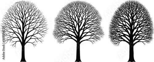 Bare tree silhouette collection showing leafless deciduous trees with detailed branching structure, black vector nature illustrations for winter landscapes, forestry concepts, seasonal design, and 