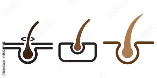 Minimal Hair Follicle and Skin Pore Icon.