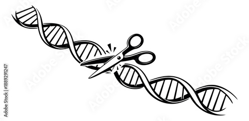 Line art illustration of a DNA strand and scissors depicting gene editing for scientific and medical concepts