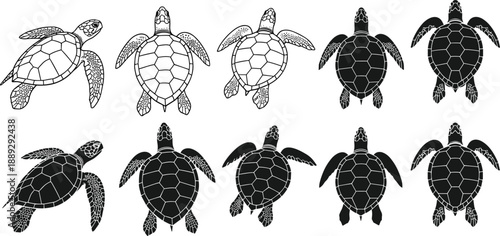 Black and white sea turtle illustration set featuring top view silhouettes, detailed shell patterns, marine wildlife, and ocean conservation concept