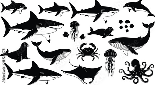 Black and white marine animals illustration set featuring sharks, whales, dolphins, octopus, jellyfish, rays, seals, and ocean wildlife silhouettes