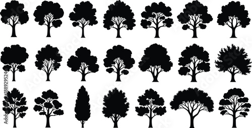 Tree silhouettes collection, various deciduous tree shapes, forest botanical set, black and white nature illustration, vector design