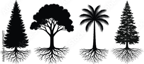 Black silhouettes of four trees with roots on white background