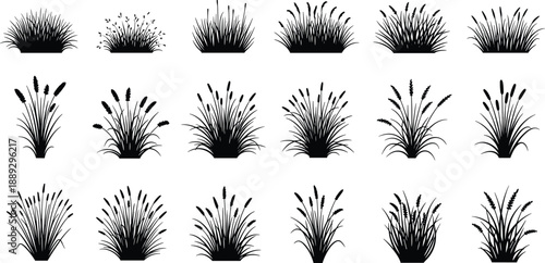 Black silhouettes of various grasses and plants on white background