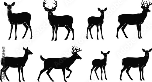Deer silhouette illustration set, buck and doe woodland animals, black forest wildlife vector collection for nature design